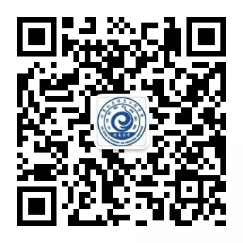 麻豆在线
